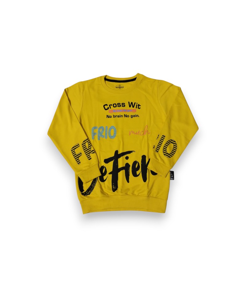 Boys Full Sleeves T Shirt  Terry Fabric